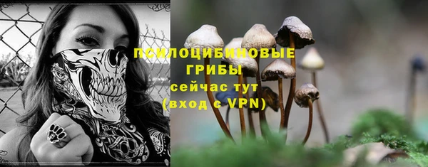 круглые Вязьма