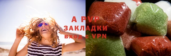 твердый Вяземский