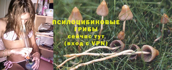 твердый Вяземский