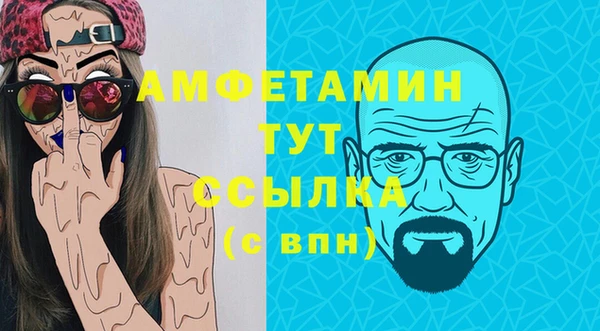 твердый Вяземский
