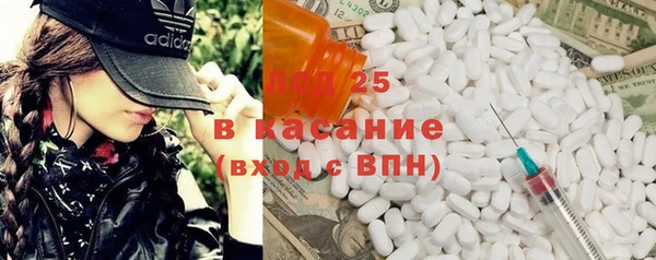 твердый Вяземский