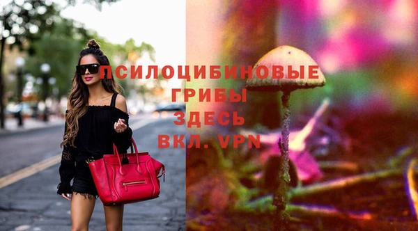 твердый Вяземский