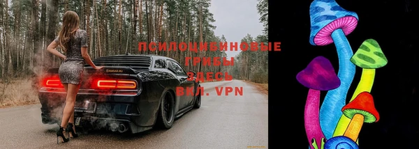 твердый Вяземский